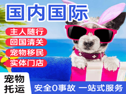 阳江合山航空托运国际宠物托运 【国